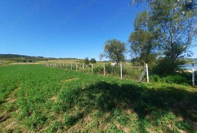 OFERTA!!!, teren cu iesire la Dunare, 1000mp, Fs aprox 17m - 8