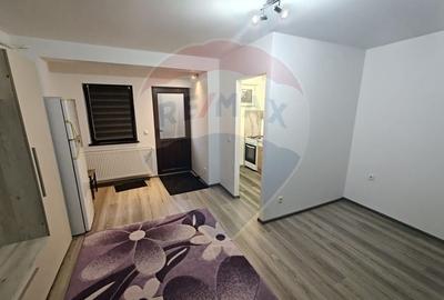 Apartament cu o camera de inchiriat Vlad Tepes - 5
