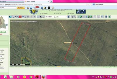 Teren de 23000 mp, în Vad - 4