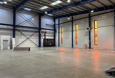 Hala clasa A / Autorizatie ISU /  Ideal productie - 5