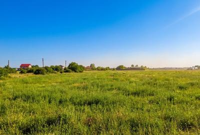 Teren Construcții intravilan de 3900 mp, în Bragadiru - 15