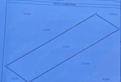 Spațiu comercial, în Șura Mare - 2