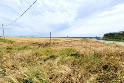 Teren 8.812mp- Magurele- Dumitrana, Autostrada 0 - 6