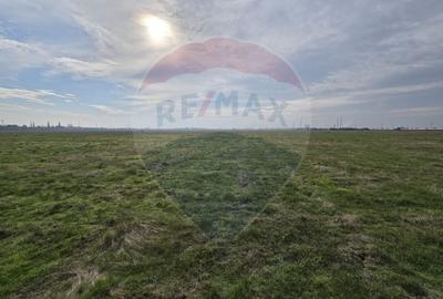 DE VANZARE Teren 25,000mp Ploiesti /  Centura de Vest DE VANZARE Teren 25,000mp Ploiesti /  Centura de Vest - 13