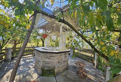 Casă cu 5 camere cu Canalizare în Central - 20