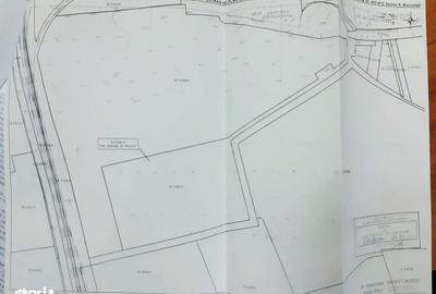 Teren de 20000 mp, în Timișoara - 1