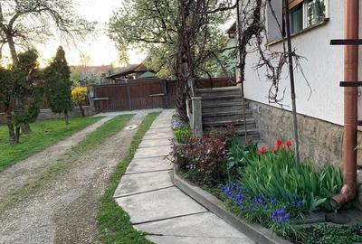 Casa de Vanzare in Boro?neu Mare 130 mp, Teren 3033 mp - 12