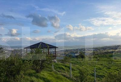 Teren extravilan, 1354 mp, Colonia Breaza - 2