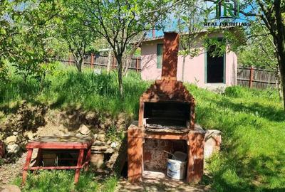 Casă cu 2 camere cu Teren 1800 Mp în Vernești - 15