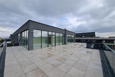 Penthouse cu 3 camere semidecomandat în Sopor - 17