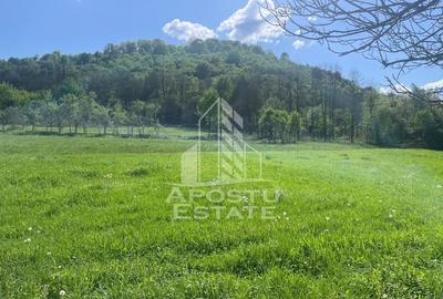 Teren intravilan, partial imprejmuit, eligibil grant- Poj... - 1