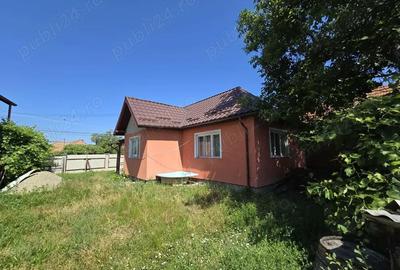 Casă cu 3 camere în Peceiu - 8