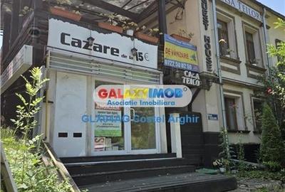 Vinden casa/pensiune in zona centrala Teilor D+P , 240 mp