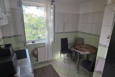Apartament 3 camere Titan - Sectia 13 - Aleea Ciucea - 10
