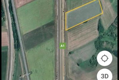 Vand teren 45000 mp A1 KM 57 front A1 DN7 ( 2 parcele ) - 3
