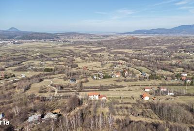 Spațiu comercial, în Predeluț - 11