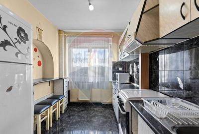 Apartament cu 3 camere de inchiriat - zona Podgoria - 5