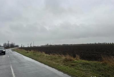 Teren în Lumina - 4