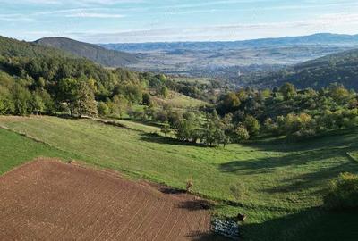 Teren intravilan de vanzare in ?uncuiu? panorama formidabila! - 7