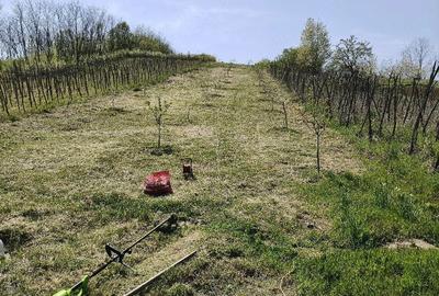 Teren de 2000 mp, în Gării - 1