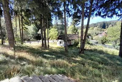 De vanzare in Timis de Sus, pensiune montana in stilul arhitectural al cabanelor austriece - 2