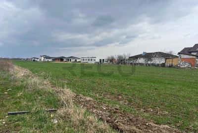 RECO IMOBILIARE,TEREN Cihei