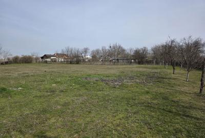 Casă cu 3 camere în Soreni - 2