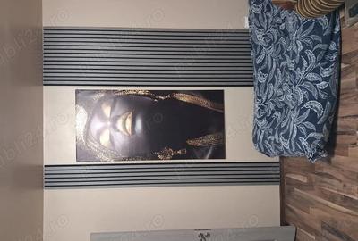 Apartament cu 2 camere decomandat în Drumul Taberei - 2