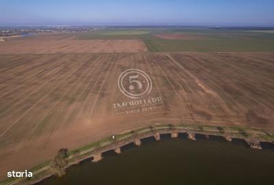 Spațiu comercial, în Pasărea - 3