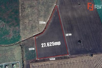 COMISION 0% Teren Extravilan Agricol, Beregsau Mare - Zona in dezvoltare - 2