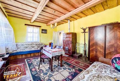 FILM! Doua case+anexe,rezidential comercial de vacanta,Zagon,Covasna - 3