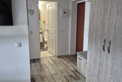 Garsonieră decomandată în Turnișor - 5