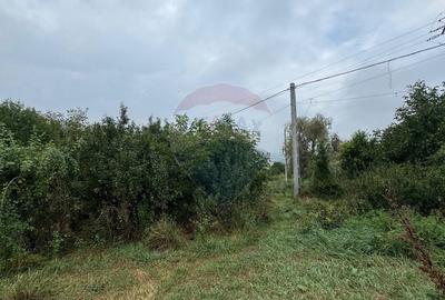Teren de vanzare Turda - pe strada Calarasi - 2