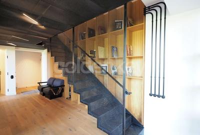 Apartament Loft spatios cu 4 camere | terasa 32mp - 25