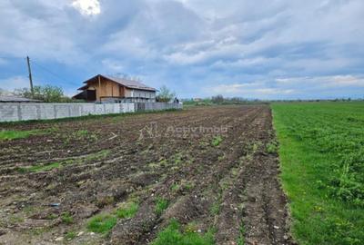 Teren pretabil mic cartier rezidential in apropiere de Ploie - 5