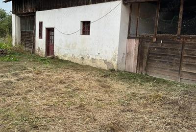 Casă cu 3 camere în Sculia - 8