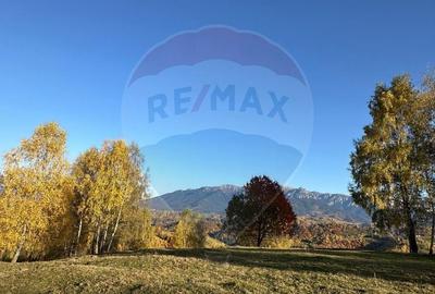 Oportunitate de investiție ! Teren de vis în Pestera - 125.370 mp - 18