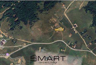 Teren Construcții intravilan de 1500 mp, în Păltiniș - 1