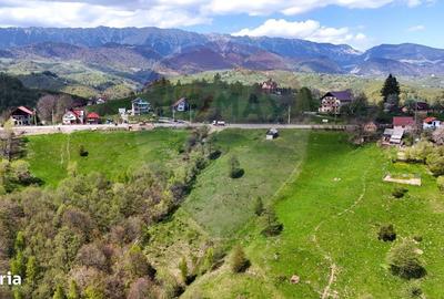 Spațiu comercial, în Drumul Carului - 6