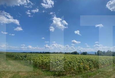 De vanzare teren arabil 4,58 ha, Moac?a, Covasna - 3