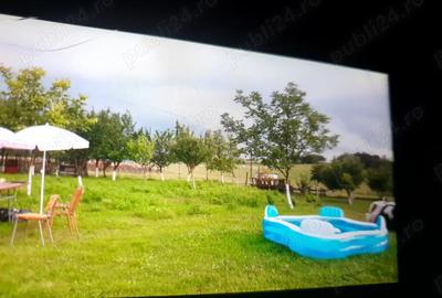 Casa cu teren 5000 m2 domeniu ranch - 3