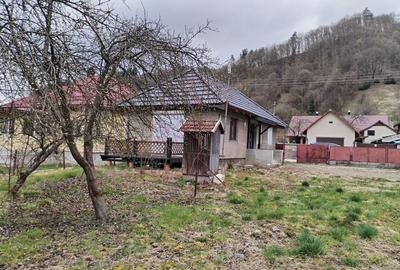 Casă individuală cu 2 camere cu Canalizare în Rusca Montană - 4