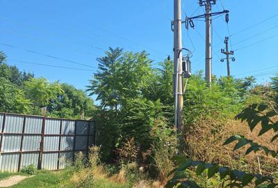 Spațiu comercial, în Beiu - 1