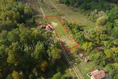 Teren de 2250 mp, în Ioanicești - 9