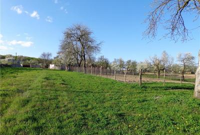 Casă cu 5 camere în Lespezi