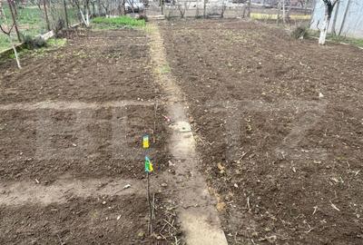 Casa de vanzare cu gradina, 5 camere, Nojorid - 11