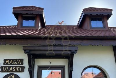 Vila Magia Vlasiei langa Padure cu Gradina 700 m2 - 7