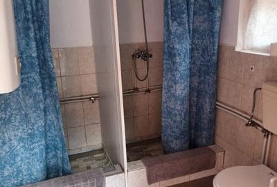 Casa 5 camere Rau Sadului - 6