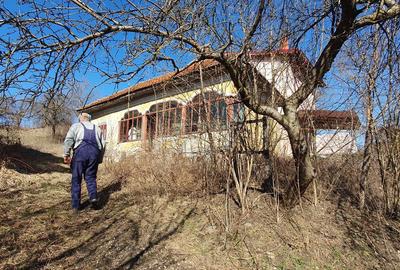 Teren de 2727 mp, în Mihăești - 6