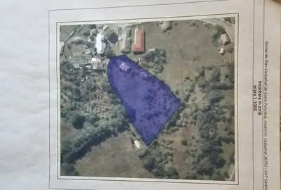 Teren de 949 mp, în Sălătrucel - 8